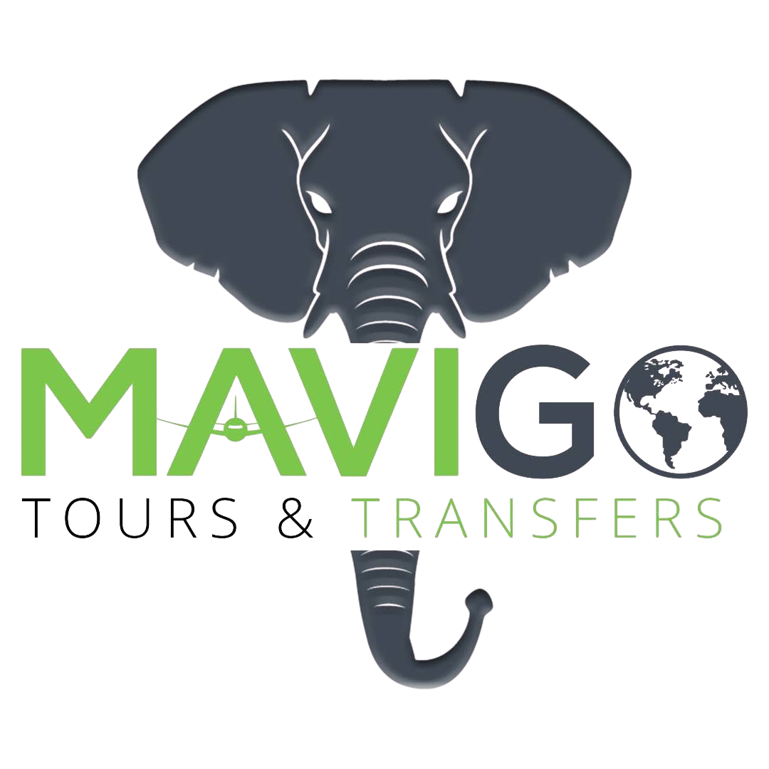 Mavigo Tours and Travel